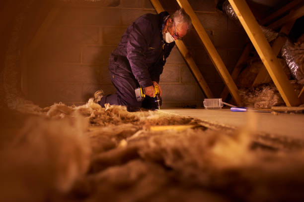 Best Insulation Installation Services in Cambridge, NE